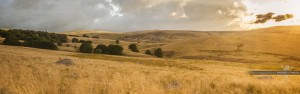 Photographe Paysage