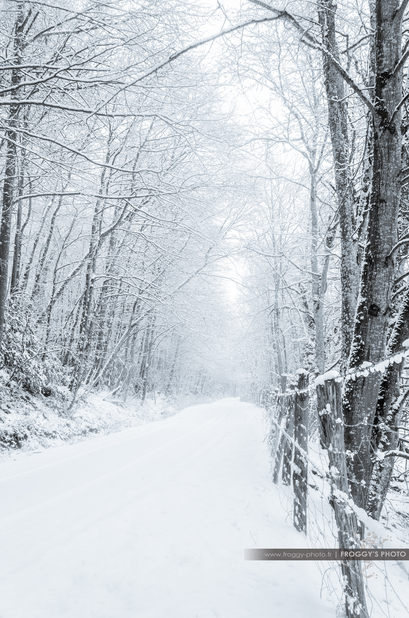 Paysage d'Aveyron - Premières neiges